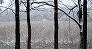 _2005_01_doho2.jpg