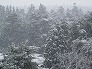 _2005_03_snow-2005-03-04.jpg