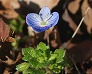 _2010_01_veronica.jpg