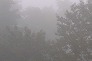 _2010_11_foggy.jpg