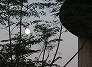 _2008_11_moon.jpg