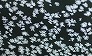 _2010_01_frost.jpg