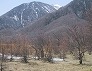 _2002_04_odashiro2.jpg