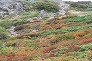_2008_09_hunagata_top1.jpg