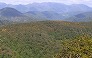 _2009_10_shirakami.jpg