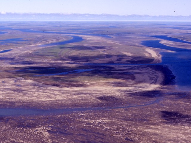 s93_157.jpg