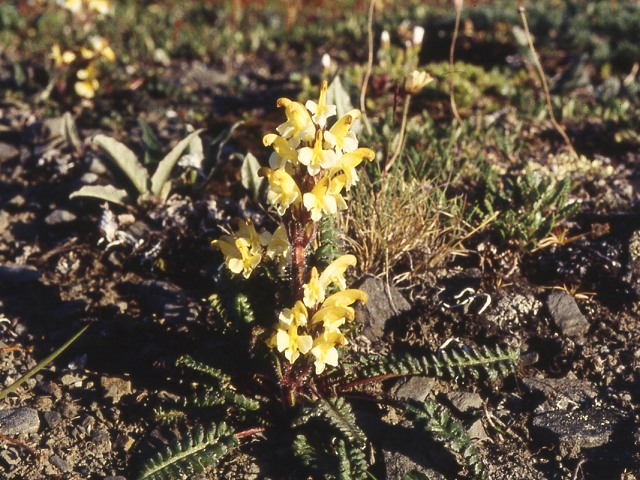 s94_012.jpg