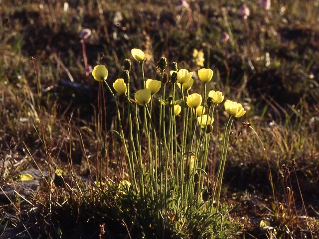 s94_018.jpg