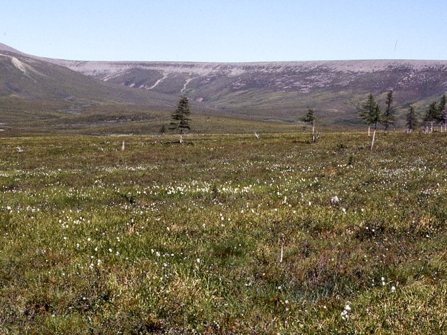 s94_083.jpg