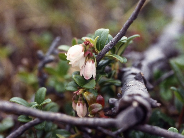 s94_127.jpg