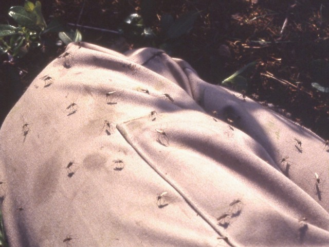 s94_187.jpg