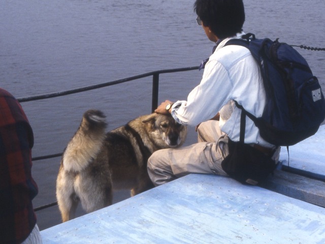 s96_148.jpg