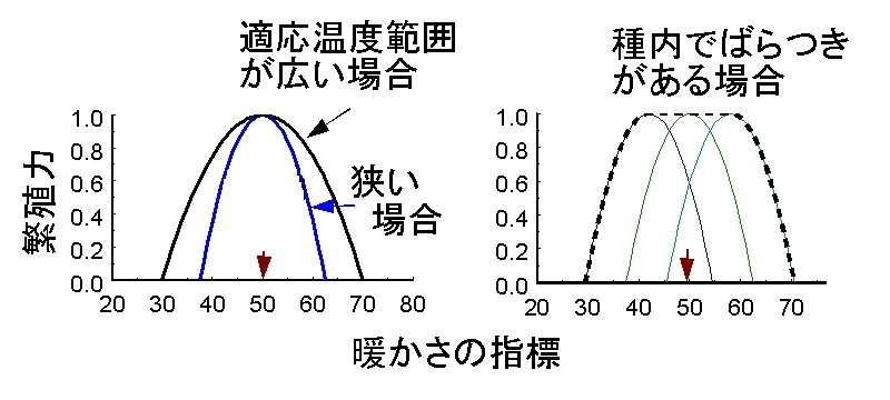 xˑ