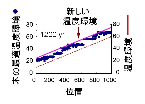 \^̕z 1200 yr