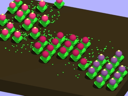 example00.jpg