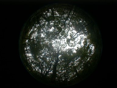 hemisphere.jpg