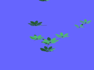 flyingshoots.jpg