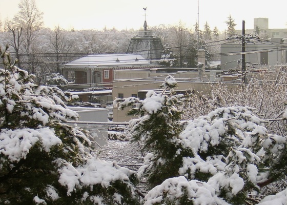 snow2.jpg