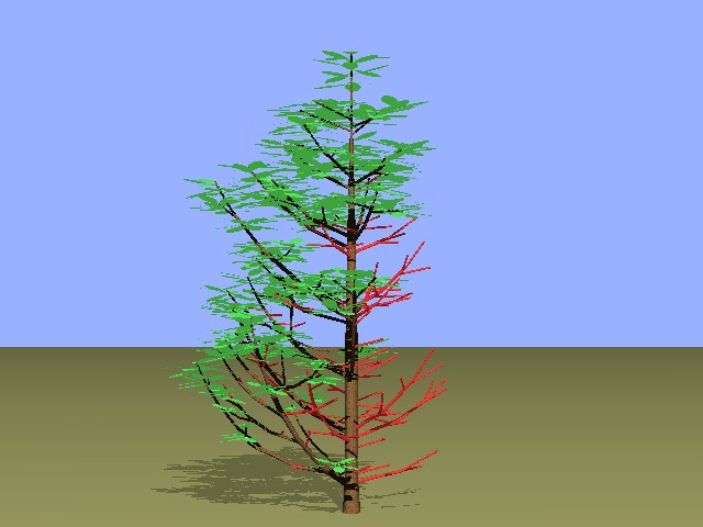 trio_0_red.jpg