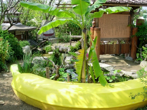 banana.jpg
