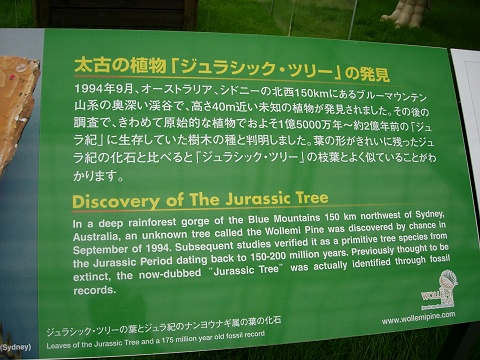 jurasic_panel.jpg