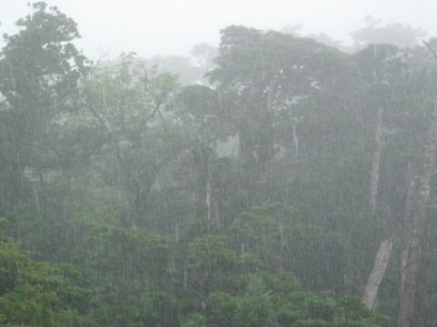 rain.jpg