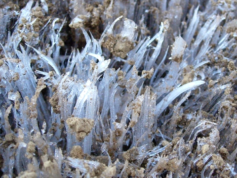 frost_column.jpg