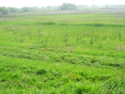 view01.jpg