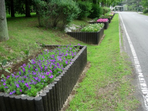 flower_beds.jpg