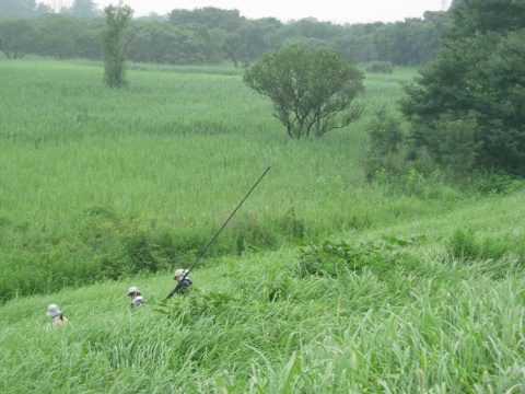 watarase_01.jpg