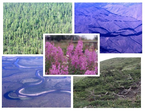 cover_photos.jpg