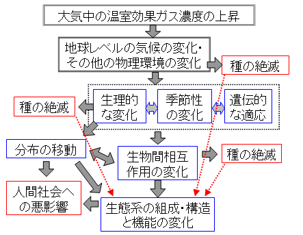 schema.png