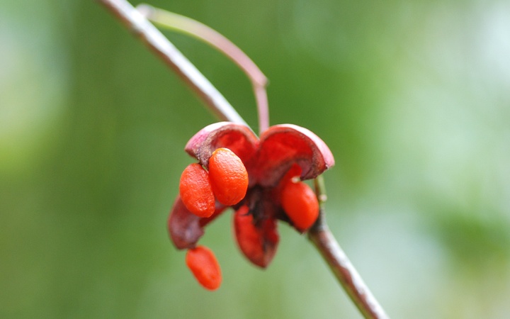 coỉʎ