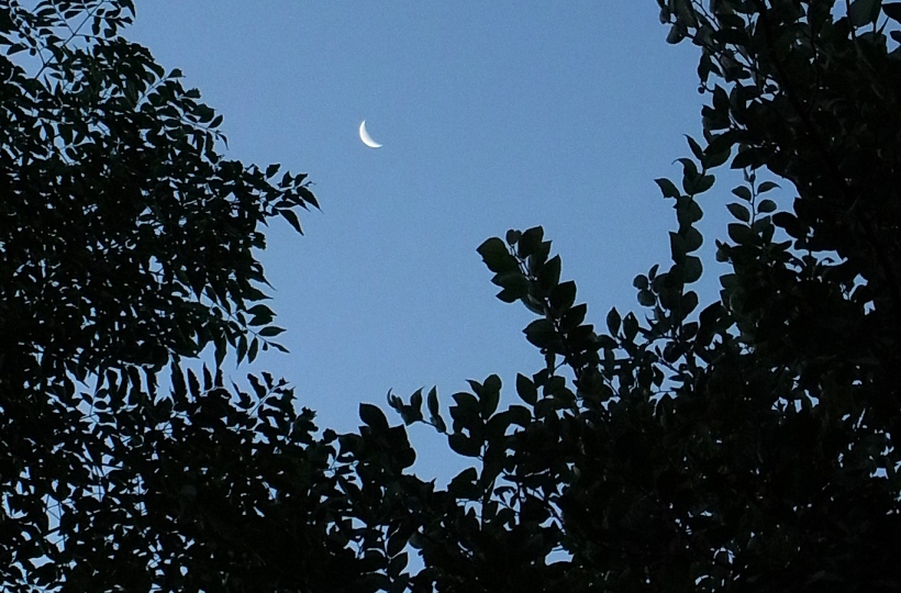 25̌