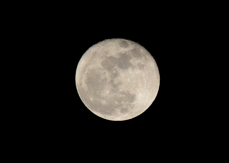 15.5̌