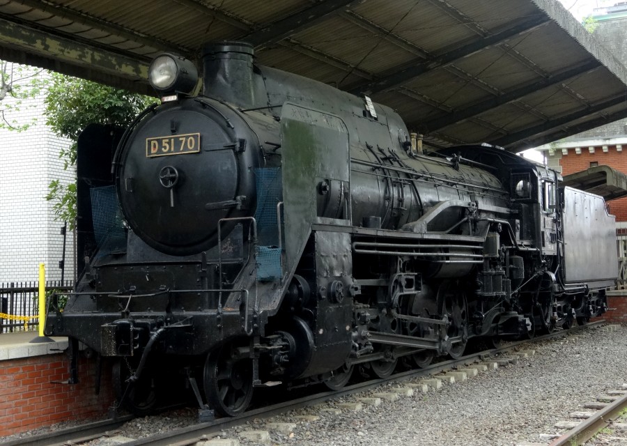 D51