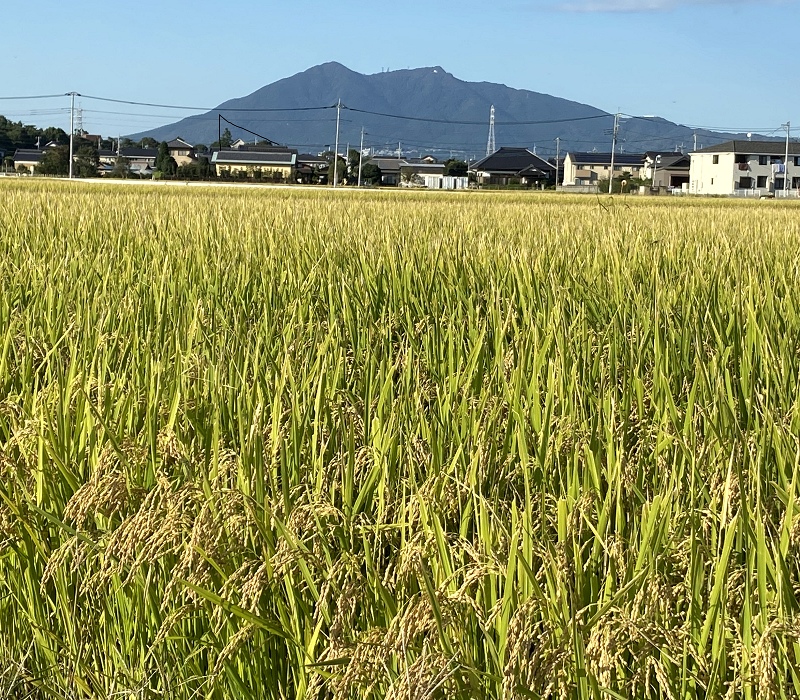 筑波山