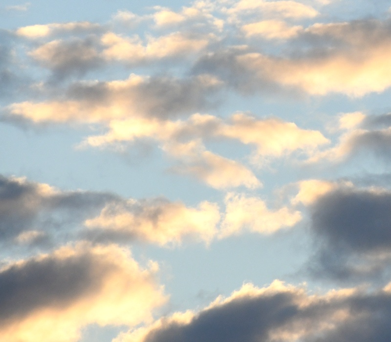 朝の雲