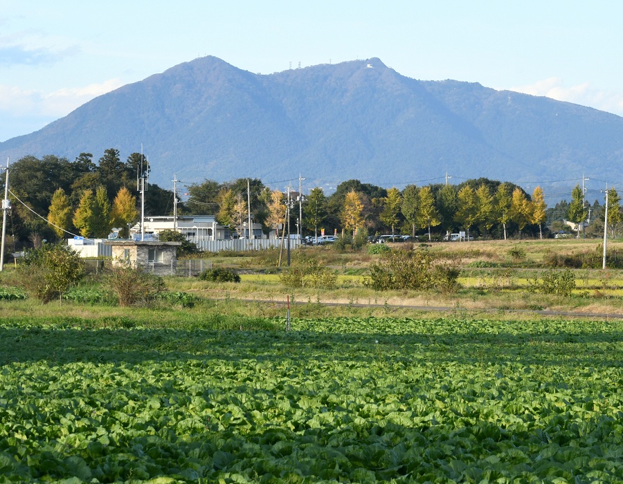 筑波山