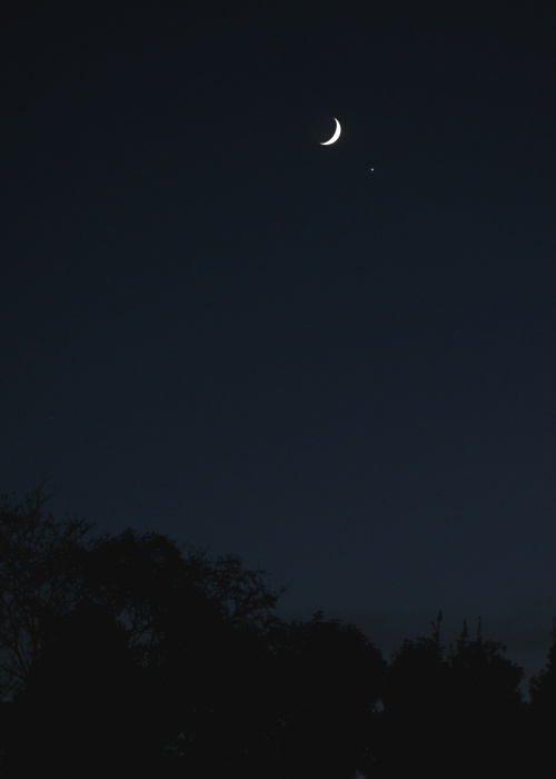 三日月と金星