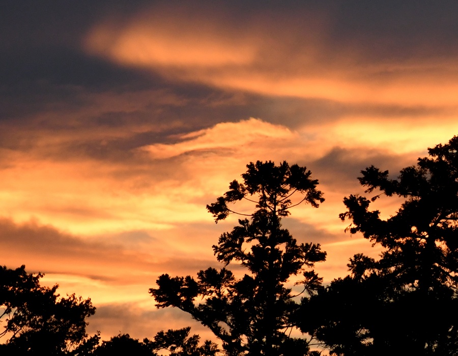 夕焼けの空