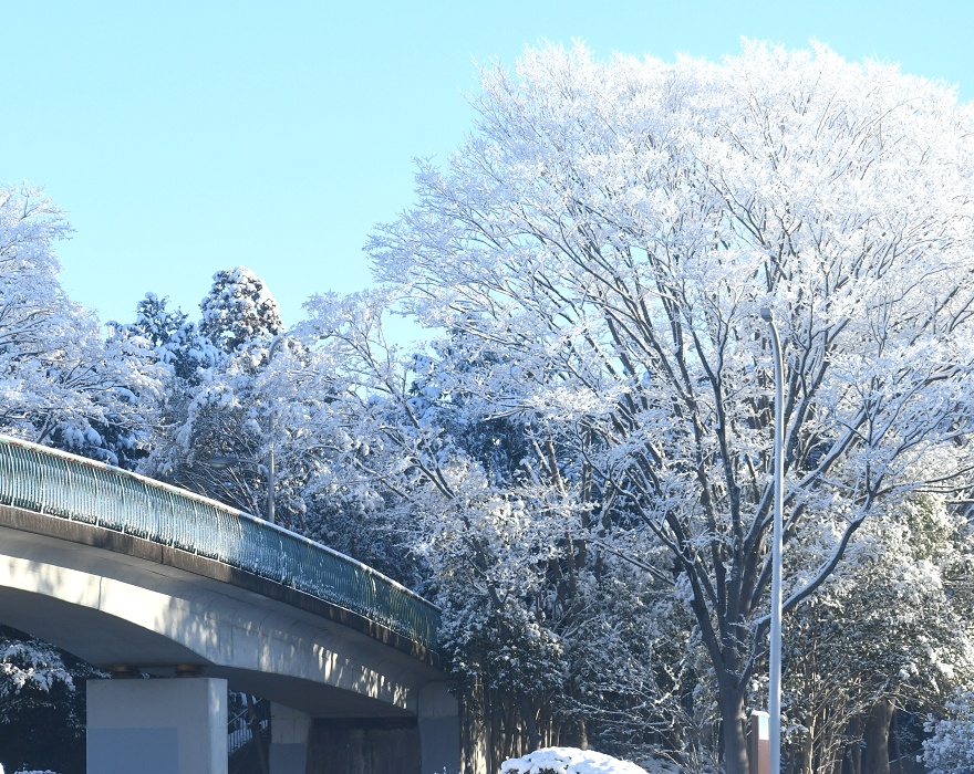 雪景色