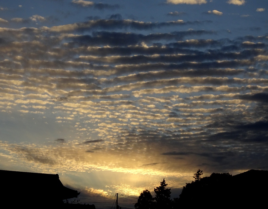 夕方の空