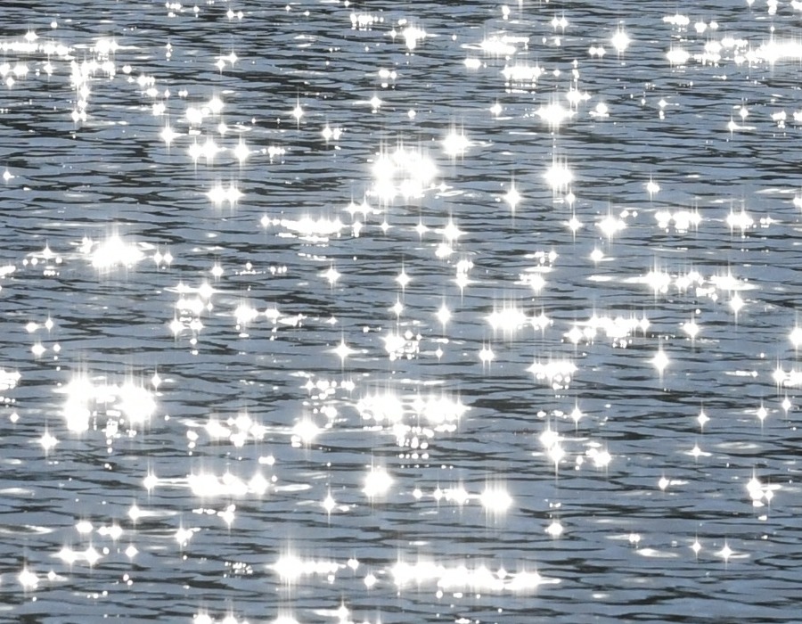 池の水面のきらめき